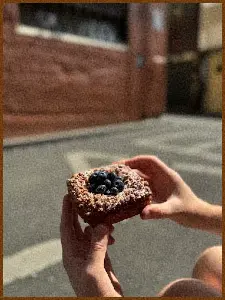 Blueberry Danish